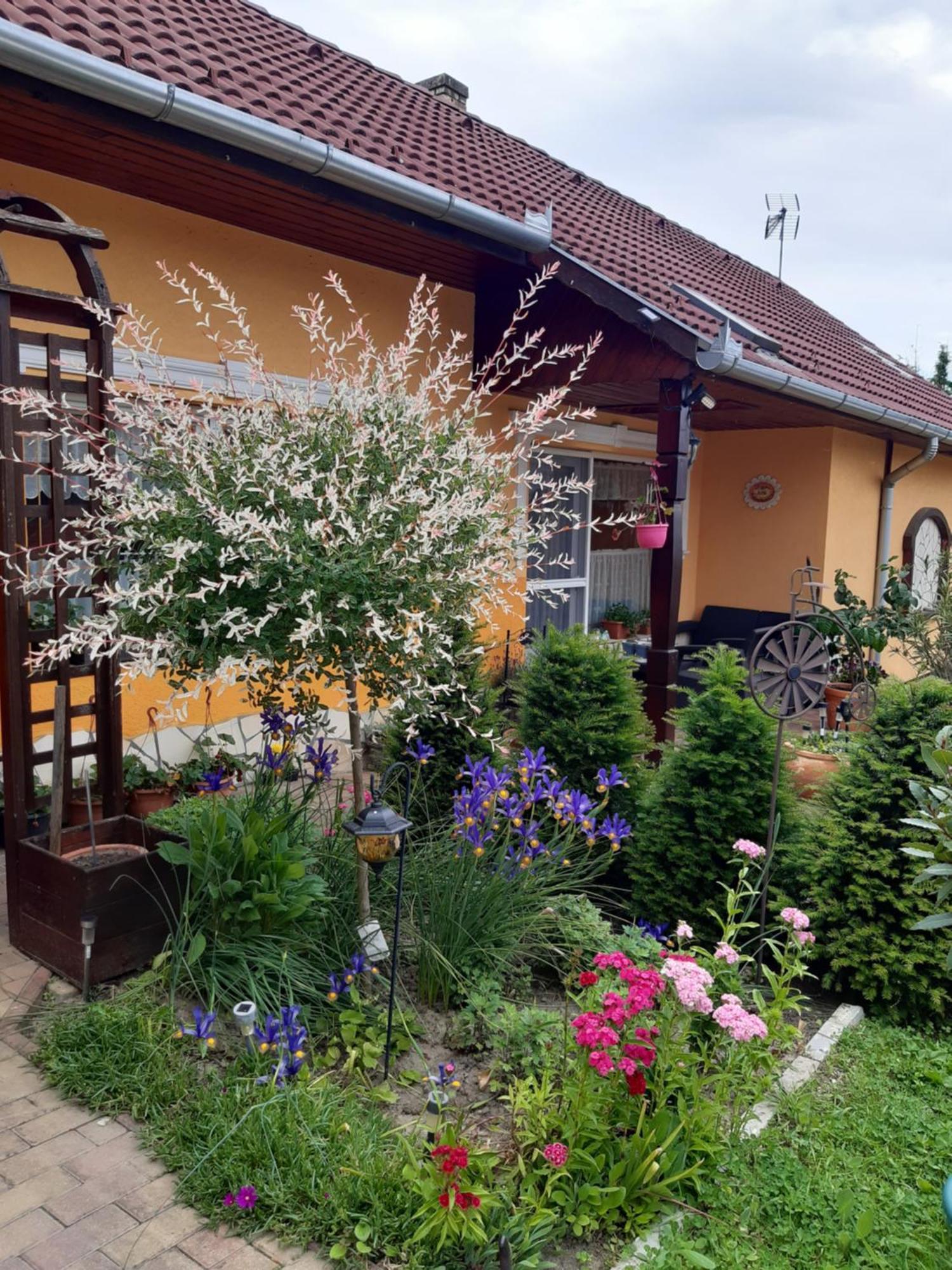 Andrea Vendeghaz Lägenhet Kehidakustány Exteriör bild